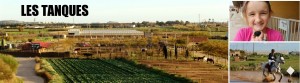 tanques-web