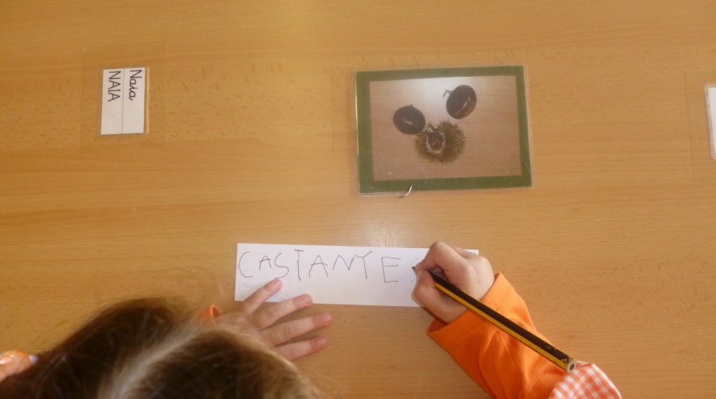 06. ESCRIC EL VOCABULARI