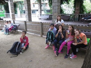 IMG_2863_opt