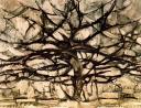 arbre1.jpg