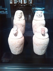 recipientes para las visceras