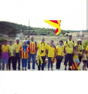Tram 37 - Amposta 