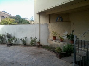 El nostre hort