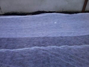 2013-12-10 10.27.45
