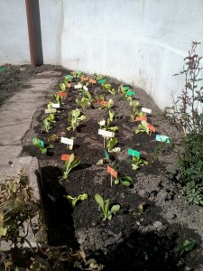 2014-03-10 12.02.43
