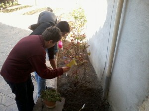 2014-03-10 12.03.12