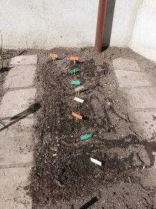Jornada Portes Obertes (10)