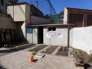 Jornada Portes Obertes (11)