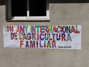 Jornada Portes Obertes (12)