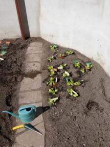 Jornada Portes Obertes (9)