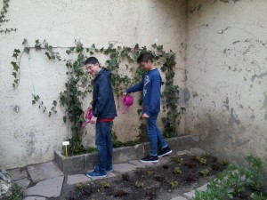 2014-03-26 10.32.37