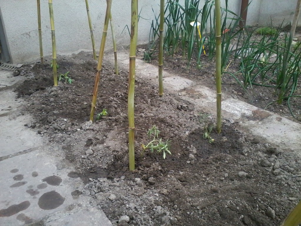 2014-04-25 10.34.06