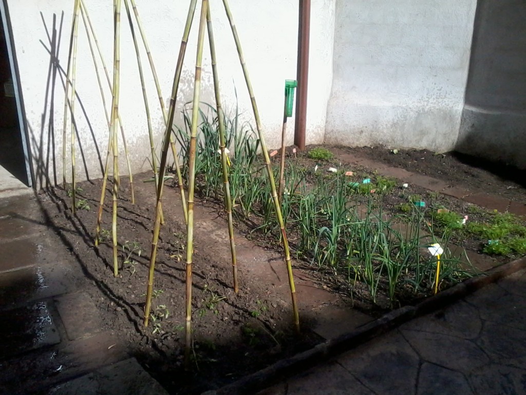 2014-04-28 10.34.22