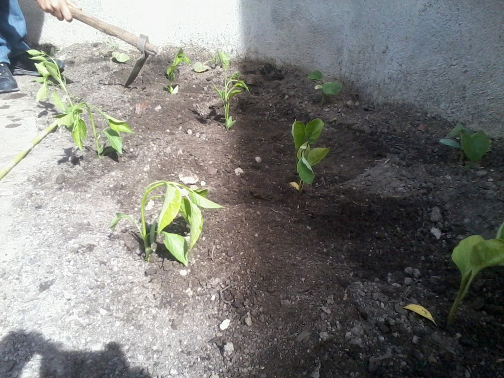 2014-05-06 10.34.12
