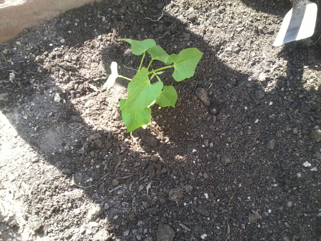 2014-06-04 10.31.49