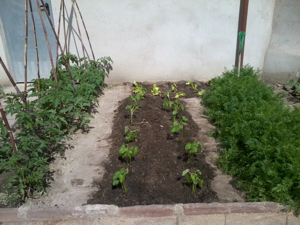 2014-06-04 10.47.04