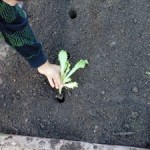 IMG-20141107-WA0002