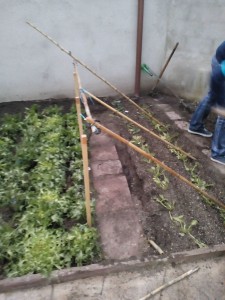 10 de desmbre (3)