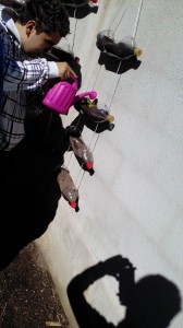 IMG-20150305-WA0014