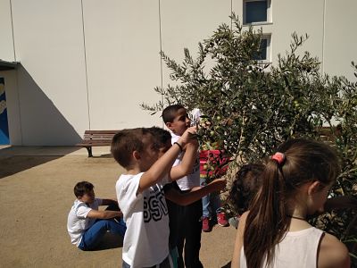 IMG_20170919_152044_opt