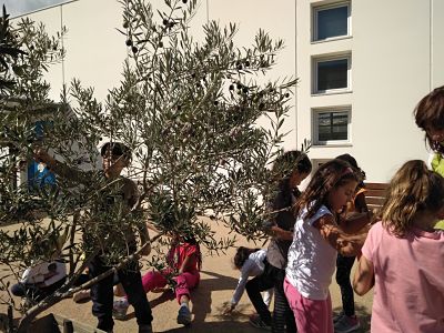 IMG_20170919_152215_opt