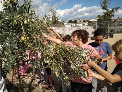 IMG_20170919_152240_opt