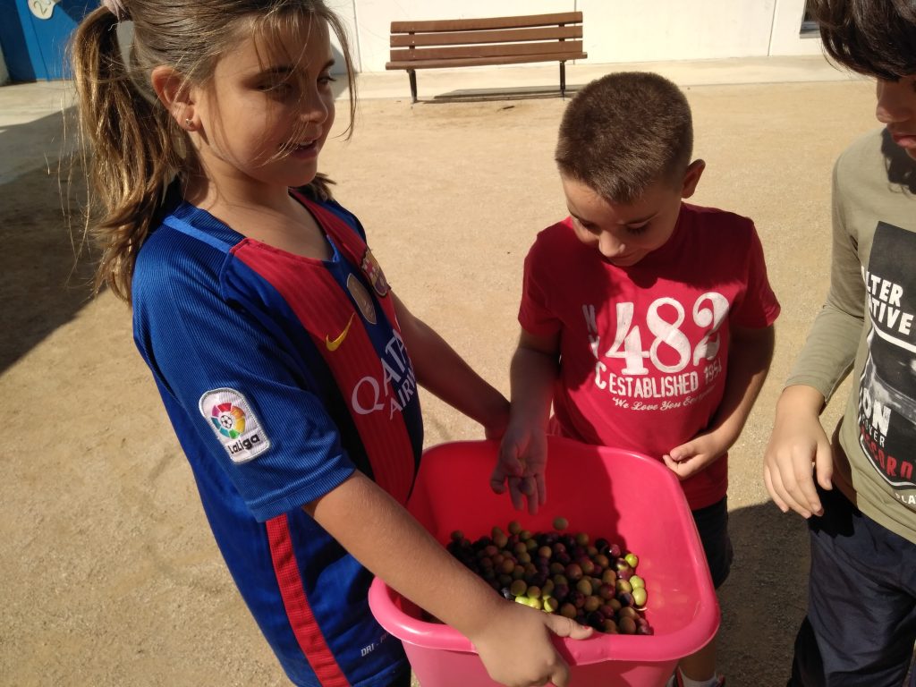 IMG_20170919_152443 (1)