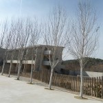 DSC03051