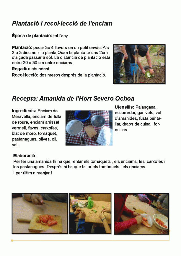 AMANIDA USEE2
