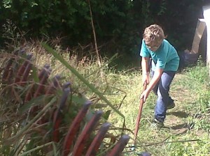 treballant a l'hort