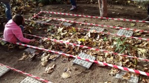 IMG_20140108_112640431