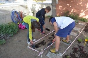 20-10 sembrant faves petit