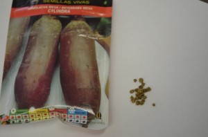 llavors remolatxa petit