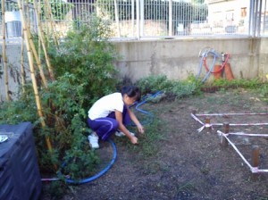 netejant 29-9 (2) PETIT