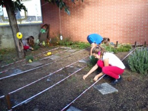 netejant 29-9 (3) PETIT