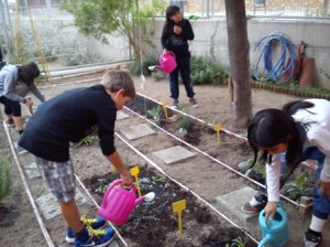 27 oct 14 regar petit