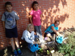 29 oct 14 regant petit