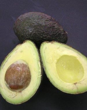 aguacate1