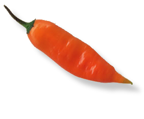 aji
