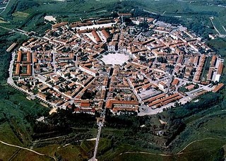 palma_nuova