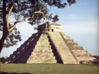 mayas
