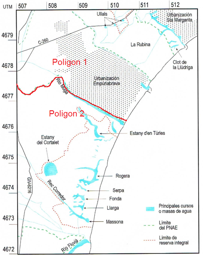 imagen1