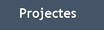 Projectes