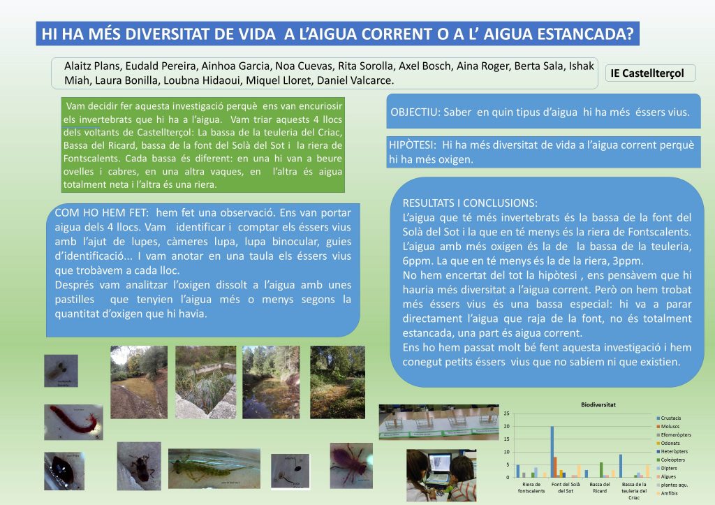 biodiversitat-cinque-b-4-1