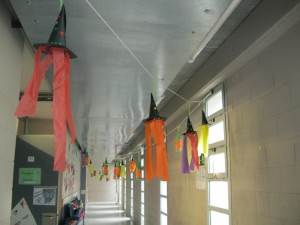 IMG_6694