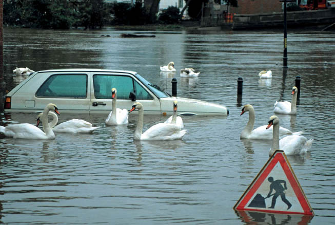 inundaciones2