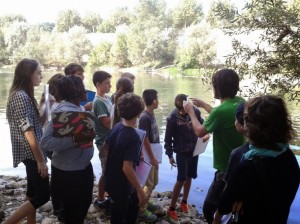 projecte rius