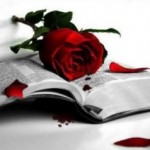 rosa-i-llibre