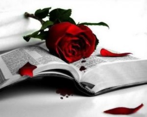 rosa-i-llibre