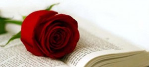 2015042219583061178[1]